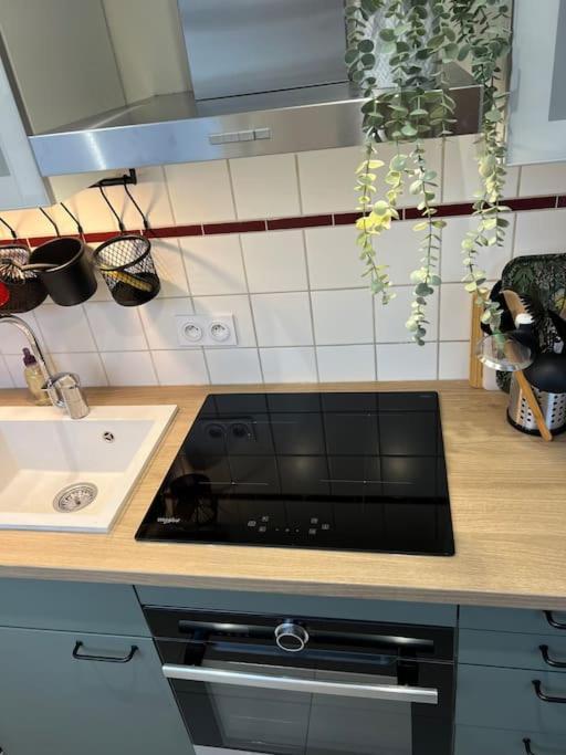 Adorable Appartement Strasbourg Neudorf Parking Sous Sol Eksteriør billede