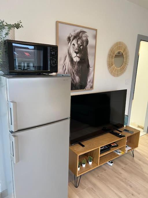 Adorable Appartement Strasbourg Neudorf Parking Sous Sol Eksteriør billede